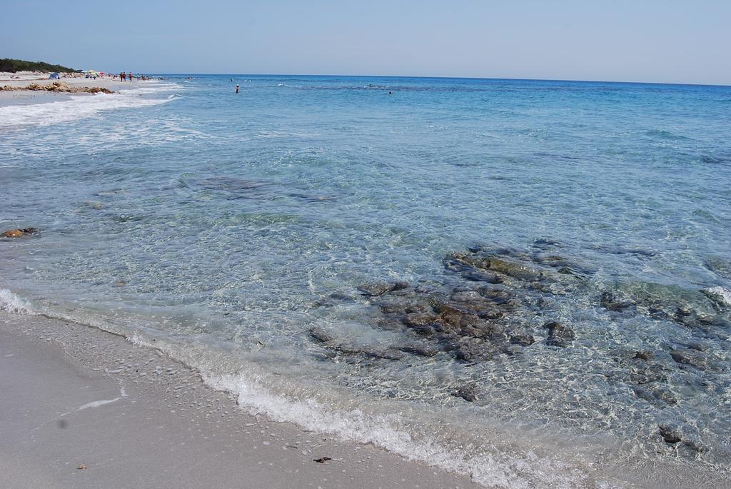B&B Il Mirto Di Paola Torpè Dış mekan fotoğraf