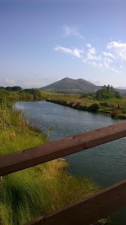 B&B Il Mirto Di Paola Torpè Dış mekan fotoğraf