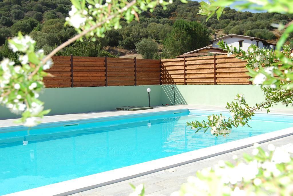 B&B Il Mirto Di Paola Torpè Dış mekan fotoğraf